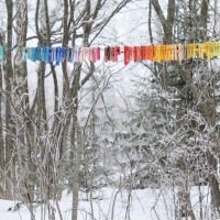 Colour Chart For Weathers, For Seasons (plastic clothes pegs) 2013 (2003)