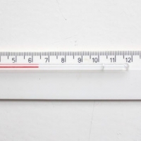 Measuring, 2011 (ruler, thermometer part)