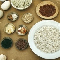 Buffet, 2001 (materials from nature, etc.; detail)