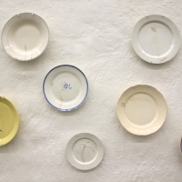 Hauraita muistikuvia kadonneesta puutarhasta, kadotetusta metsästä / Fragile Memories of a Lost Garden, a Destroyed Forest, 2016- (found broken plates, paper)