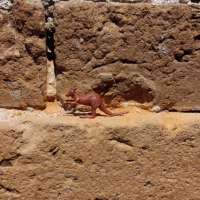 Museoiden huoneissa / In the Rooms of Museums, Forssa