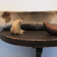 Meribiologiaa (yksityiskohta) / Marinbiologi (detail), 2025